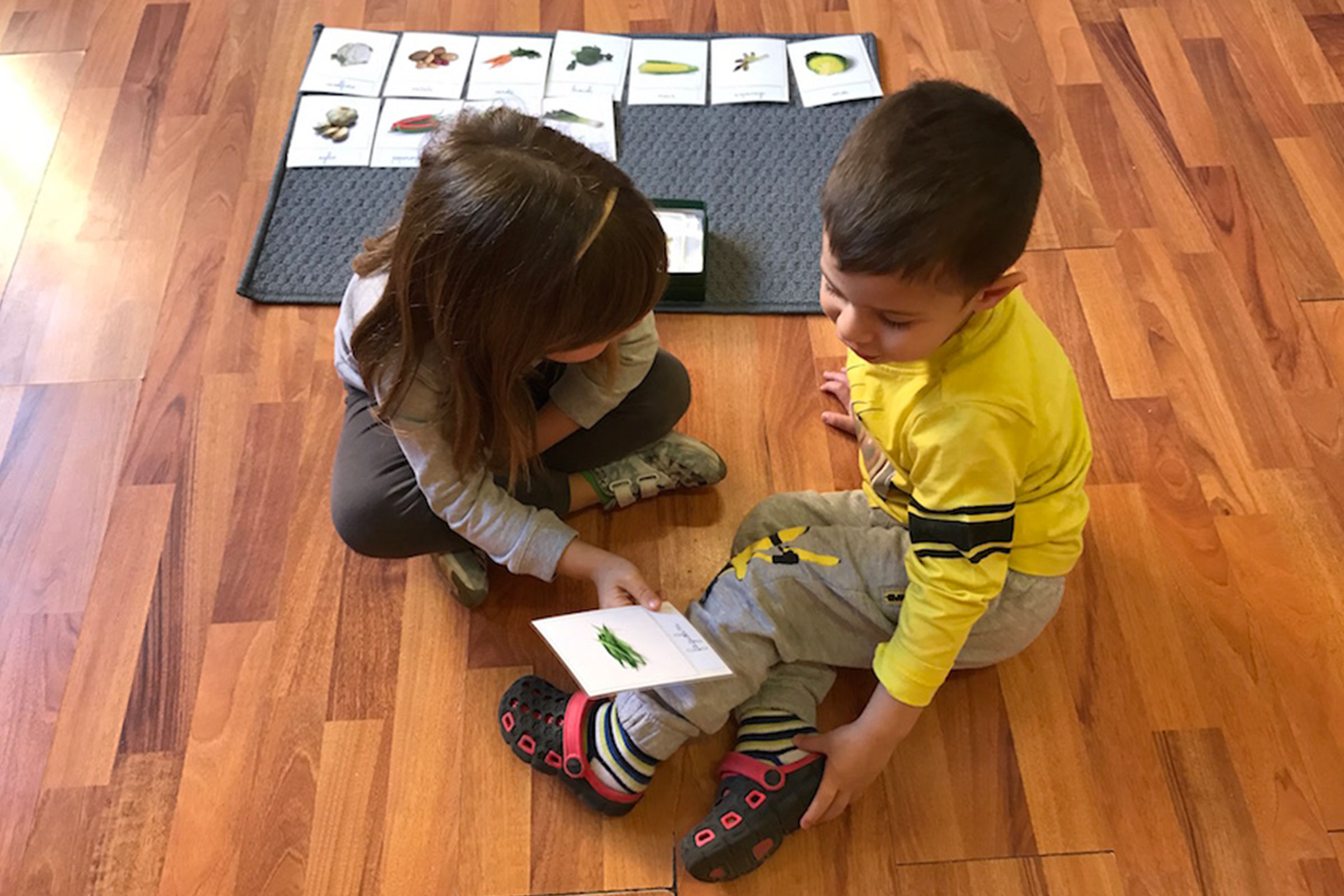 Children in a Montessori classroom with Classified Cards